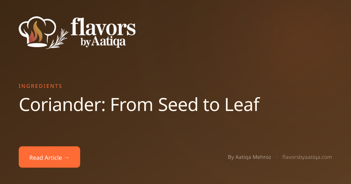 Coriander: From Seed to Leaf